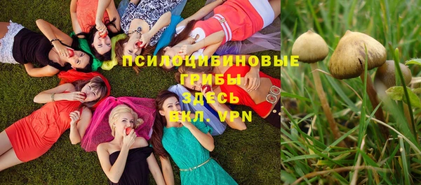 прущая мука Иннополис