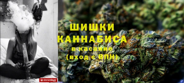 прущая мука Иннополис