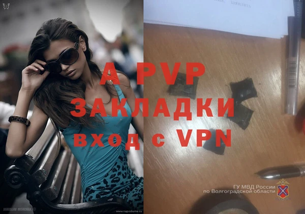 прущая мука Иннополис