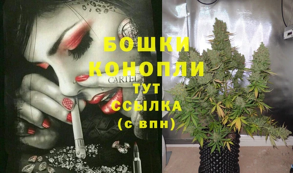 прущая мука Иннополис
