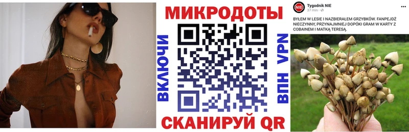 Галлюциногенные грибы MAGIC MUSHROOMS  Купить закладки  Избербаш 